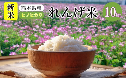 新米 熊本県 玉名市産 れんげ米 ヒノヒカリ 10kg | 米 こめ お米 おこめ 白米 精米 れんげ ひのひかり 熊本 玉名市 1009224 - 熊本県玉名市