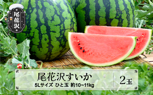 尾花沢すいか 5Lサイズ(約10～11㎏)×2玉 7月下旬～8月10日頃発送 令和5