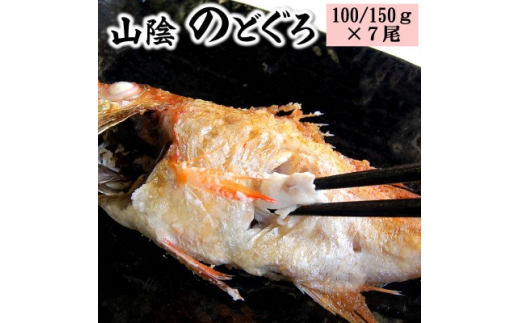 山陰のノドグロ　7尾入　煮付け、塩焼きに!【1117132】|山米鮮魚