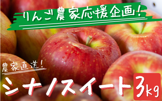 【青森県産】【ぐんま名月】11キロ りんご 家庭用 訳あり 林檎 果物