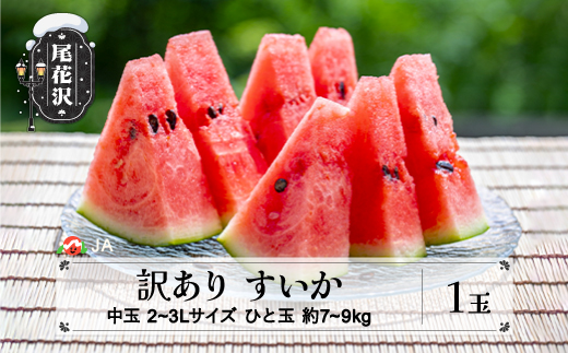 緊急支援品 先行予約 数量限定 訳あり すいか 中玉 2L~3Lサイズ(約7 ... アールスメロン‼️2L!!北海道東北各県沖縄発送不可