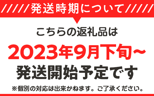 アイテムID:315139の画像2枚目