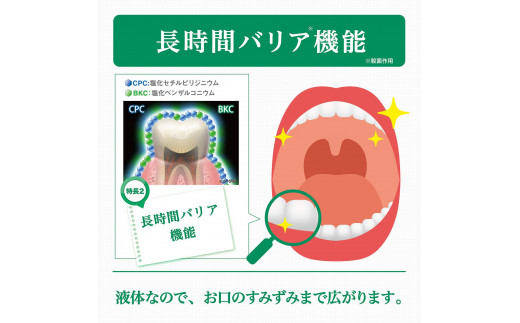 山梨県南アルプス市のふるさと納税 2.9-9-3 GUMデンタルリンス　レギュラータイプ　960ml×6本