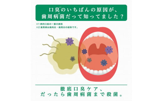 山梨県南アルプス市のふるさと納税 2.9-9-3 GUMデンタルリンス　レギュラータイプ　960ml×6本