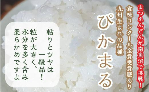 新米予約【令和5年産】精米5kg 南魚沼産ぴかまる・国際総合部門金賞