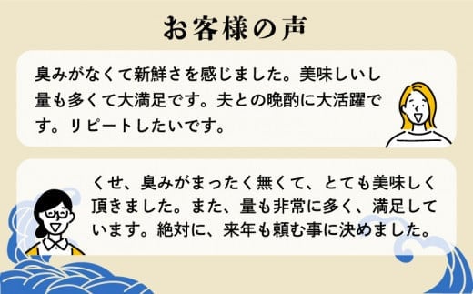 愛媛県愛南町のふるさと納税 訳あり かつおのたたき 期間限定 2.5kg 10000円 サイズ 不揃い 規格外 傷 小分け 真空 パック 新鮮 鮮魚 天然 鰹 四国一 水揚げ タタキ 冷凍 大容量 人気 ハマスイ 愛南町 愛媛県