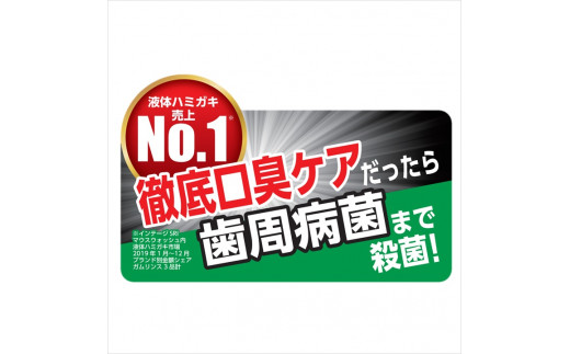 山梨県南アルプス市のふるさと納税 2.9-9-3 GUMデンタルリンス　レギュラータイプ　960ml×6本