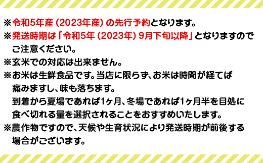 アイテムID:315139の画像7枚目