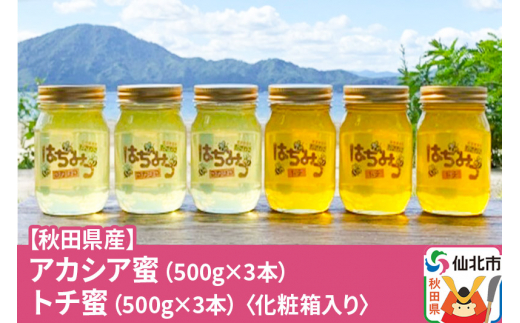 ふるさと納税 2023年新蜜 秋田県産はちみつ（トチ・百花）500g×各3本