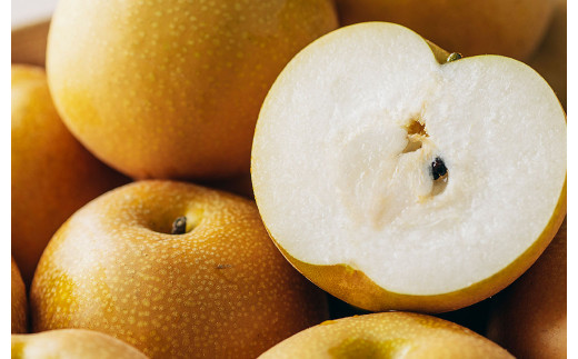 【年3回定期便】【2024年7月下旬発送開始】 くまもとの 梨 食べ比べ 定期便 約3kg×3回 合計約9kgナシ フルーツ くだもの 果物
