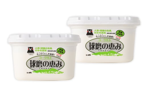 球磨の恵 ヨーグルト 砂糖不使用 1kg×2パック 合計2kg