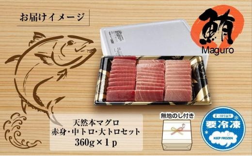 無地熨斗 天然 本マグロ 刺身セット 360g 赤身 中トロ 大トロ 三種