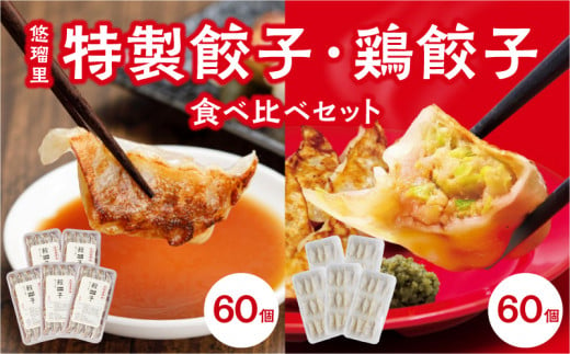 悠瑠里特製餃子60個&鶏餃子60個 食べ比べセット_M293-006 1001635 - 宮崎県宮崎市
