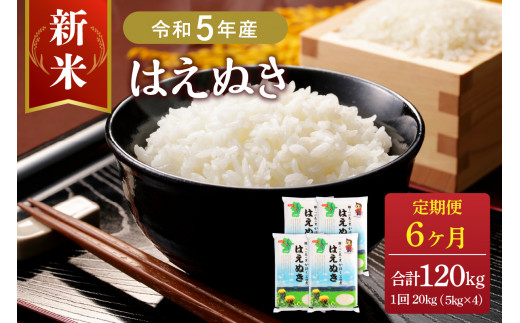 【令和5年産米】※選べる配送時期※ はえぬき120kg（20kg×6ヶ月）定期便 山形県産【JAさがえ西村山】