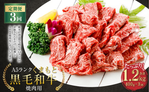 【3ヶ月定期便】 A5ランク くまもと 黒毛和牛 焼肉用 牛肉 牛 400g×3回 1.2kg 熊本県 上天草市