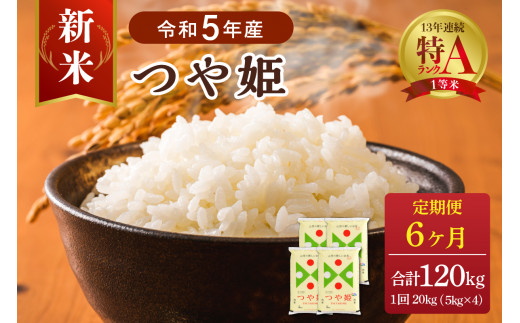 令和5年産米】※選べる配送時期※ 特別栽培米 つや姫120kg（20kg×6ヶ月