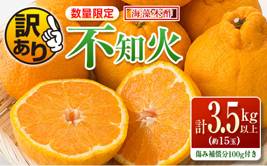 訳あり≪数量限定≫海藻木酢不知火(計3.5kg以上)傷み補償分100g付き　フルーツ　果物　柑橘　みかん　国産 ZZ15-23