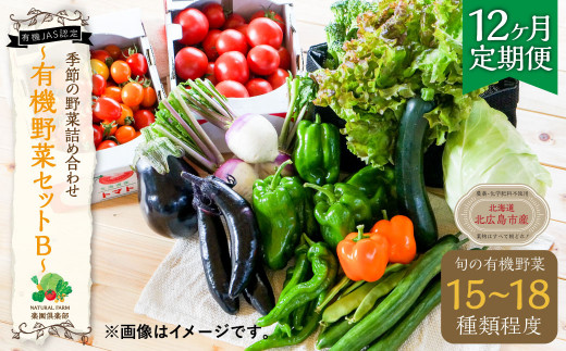 JAS認定有機野菜】北斗市産 有機野菜6～8種類野菜セット 紙箱入(季節で