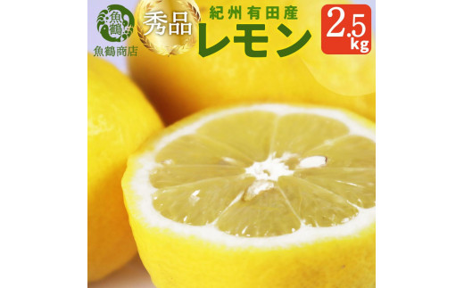 秀品　紀州有田産レモン　2.5kg【2025年3月上旬以降発送】【先行予約】【UT45】 988897 - 和歌山県印南町