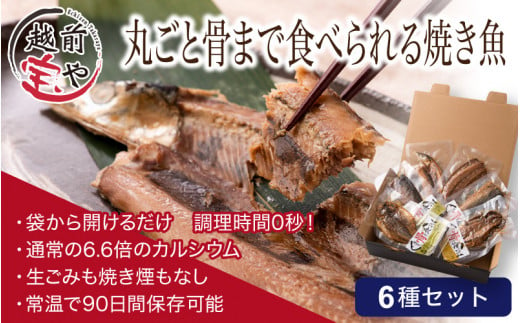 丸ごと骨まで食べられる焼き魚 6種 [A-088023] 719492 - 福井県福井市