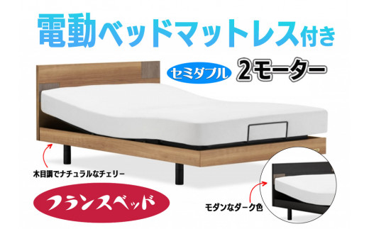 フランスベッド】薄型電動ベッドセットUD-101F （2M）レッグタイプ＋