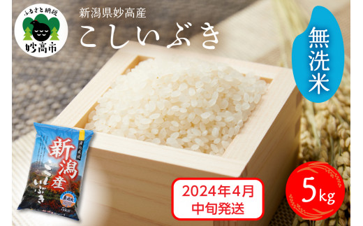 【2024年4月中旬発送】新潟県妙高産こしいぶき5kg無洗米