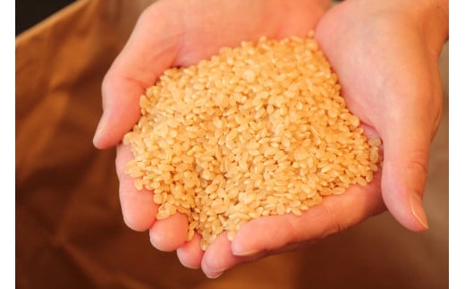 お米のソムリエが厳選した、安心・安全でおいしいお米や雑穀米を販売しています