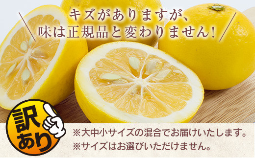 訳あり≪数量限定≫海藻木酢日向夏(計4kg以上)傷み補償分100g付き　フルーツ　果物　柑橘　みかん　国産 ZZ19-23