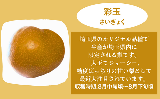 彩玉…埼玉県のオリジナル品種です。大玉でジューシー、糖度バッチリの甘い梨です。