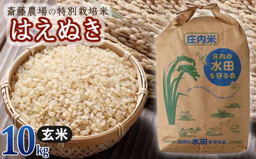 【令和5年産】 斎藤農場の特別栽培米 はえぬき玄米 10kg（10㎏×1） A05-013