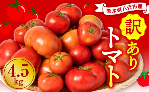 【順次発送】【訳あり】 八代市産 規格外トマト 4.5kg 熊本県 トマト 野菜