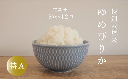 【定期便】特別栽培米ゆめぴりか 5kg×12回 舟山農産 648802 - 北海道当麻町