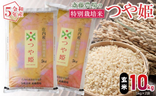 【令和5年産】 斎藤農場の特別栽培米 つや姫 玄米 10kg （5kg×2） A55-002