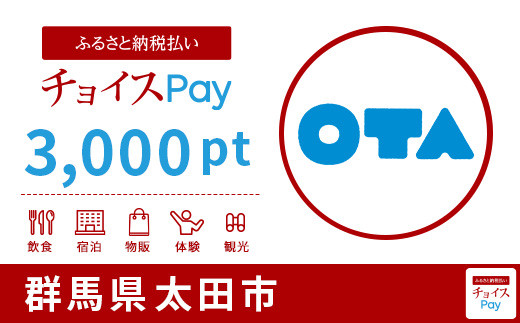 太田市チョイスPay 3,000pt（1pt＝1円）