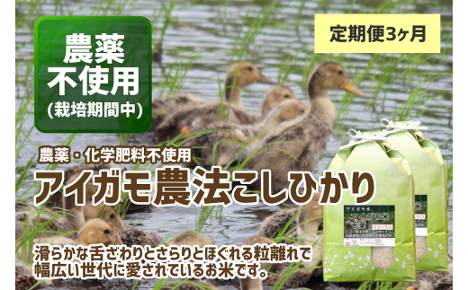 定期便・3ヶ月】《数量限定》令和5年産 千葉県産 極献上・とねのめぐみ