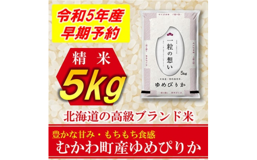 発送月固定定期便＞◇令和5年産先行受付◇特A受賞!北海道むかわ町産