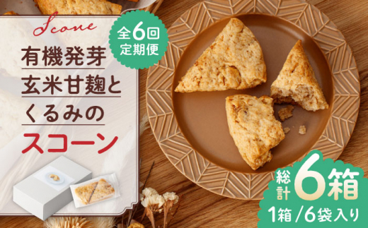 【全6回定期便】有機発芽玄米甘麹とくるみのスコーン【BANBA BON BONS】おかし 熊本 スコーン クルミ  [ZDW003]