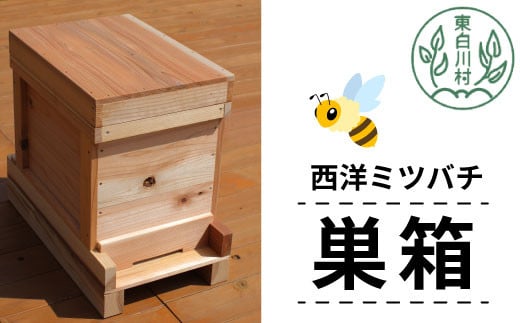 ニホンミツバチ 巣箱 1セット ミツバチ ハチ 蜜蜂 蜂 蜂蜜 はちみつ 