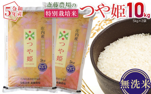 令和5年産】 斎藤農場の特別栽培米 つや姫 無洗米 10kg（5kg×2） A65