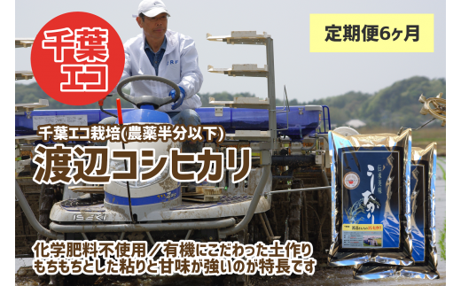 定期便・3ヶ月】《数量限定》令和5年産 千葉県産 極献上・とねのめぐみ