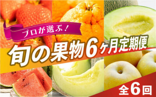 【先行予約】【限定数量】【全6回定期便】 プロが選ぶ！ 旬 の 果物 6ヶ月 定期便【くまふる】 [ZBG004]