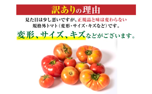 【訳あり】熊本県八代市産 規格外トマト 4.5kg トマト 野菜