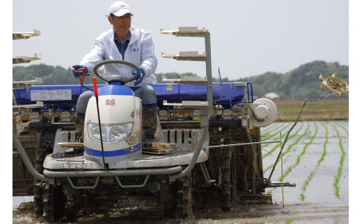 米ヌカとEMペレットという有機肥料を散布して土づくり