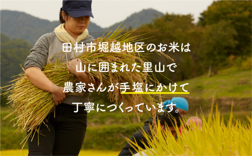 福島県田村市のふるさと納税 【新米】 ＼ 先行予約 ／ コシヒカリ 10kg 令和6年産 稲穂付き 紙袋 11月お届け 米　先行予約 こめ コメ 10キロ 福島県産米 田村市 人気 ランキング おすすめ 初物 お歳暮 ギフト 故郷 ほりこしフォーライフ