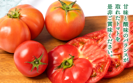 【訳あり】熊本県八代市産 規格外トマト 4.5kg トマト 野菜