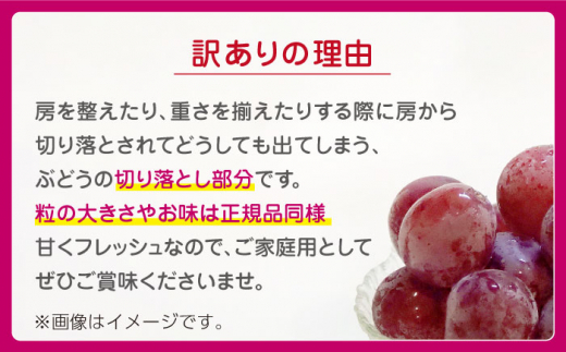 先行予約】訳あり クイーンニーナ ぶどう 切り落とし 約1kg 【合同会社