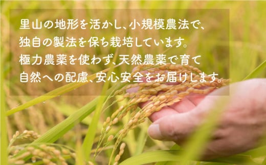 福島県田村市のふるさと納税 【新米】 ＼ 先行予約 ／ コシヒカリ 10kg 令和6年産 稲穂付き 紙袋 11月お届け 米　先行予約 こめ コメ 10キロ 福島県産米 田村市 人気 ランキング おすすめ 初物 お歳暮 ギフト 故郷 ほりこしフォーライフ