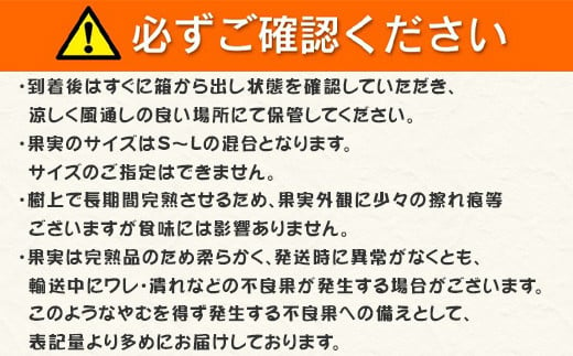 先行予約』【12月発送】吉田みかん園の樹上完熟みかん 10kg 柑橘 ミカン 蜜柑 フルーツ 果物 - 佐賀県唐津市｜ふるさとチョイス - ふるさと納税 サイト