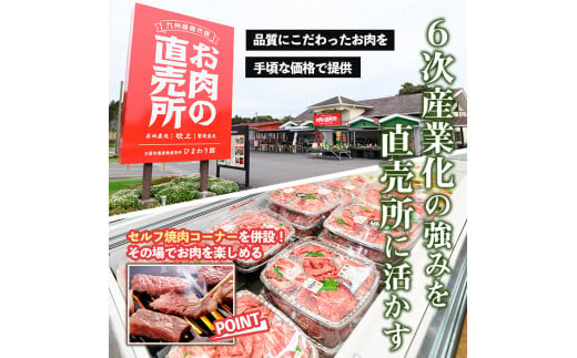 鹿児島県日置市のふるさと納税 No.612 ＜訳あり・不揃い＞国産黒毛和牛切落し焼肉用(計900g・300g×3P)牛肉 切落し 切り落し 和牛 冷凍 国産 九州産 小分け 国産牛 お肉 焼き肉 焼肉 訳あり 訳アリ 冷凍【カミチク】