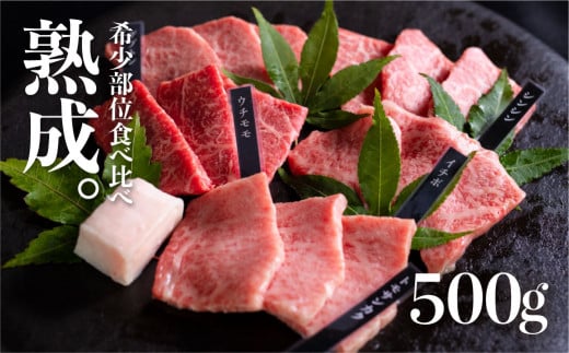 飛騨牛 焼肉 熟成肉『山勇牛』 牛肉 和牛 おまかせ5種盛合せ 計500g 30日以上熟成